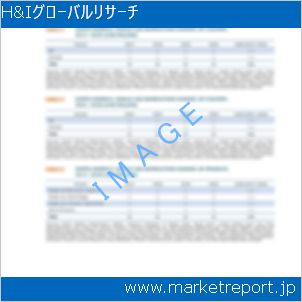 市場と産業調査レポートのイメージ